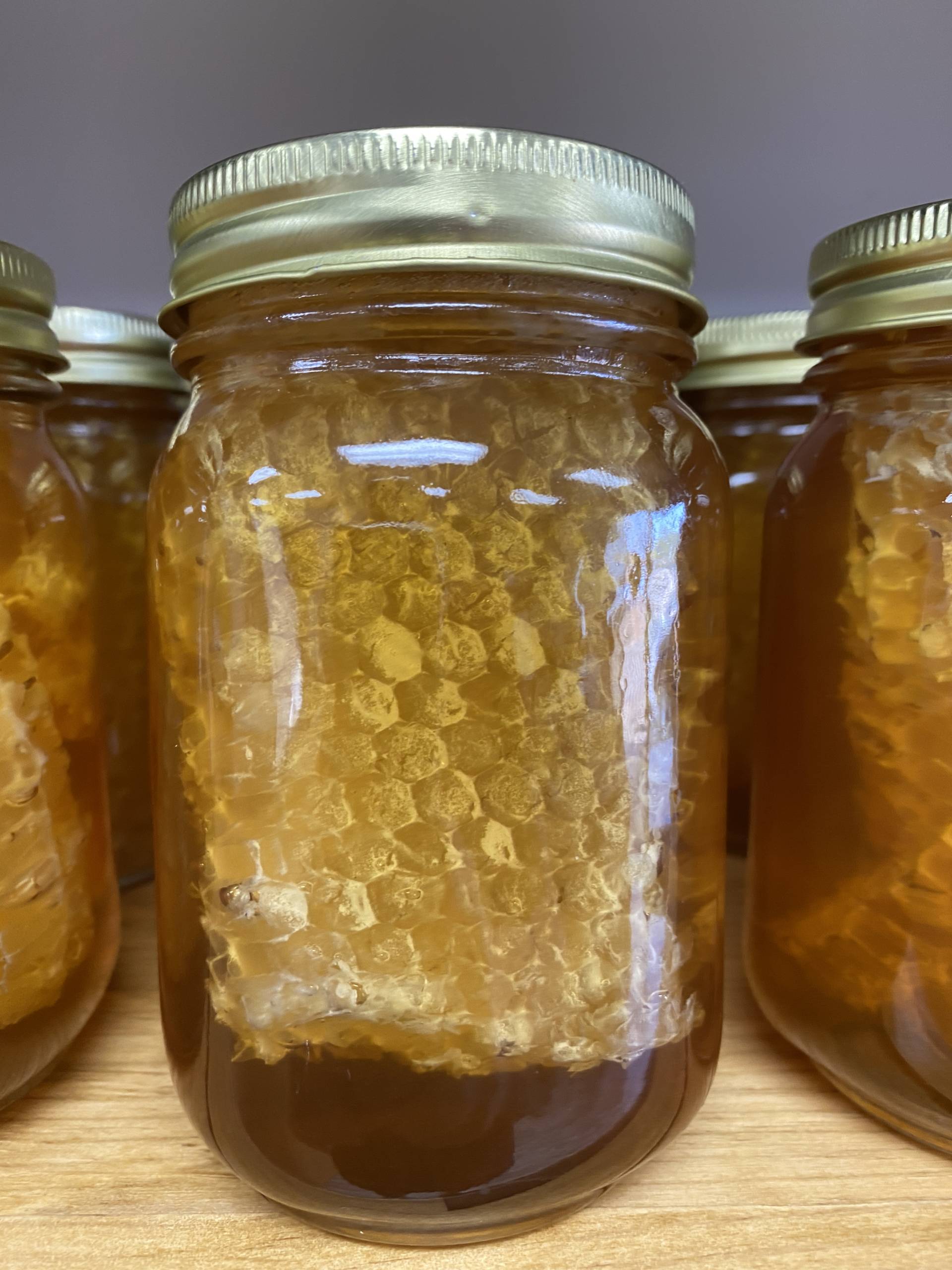 Bee Honey Comb WS